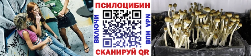 МЕГА ССЫЛКА  Кемь  Псилоцибиновые грибы Cubensis 